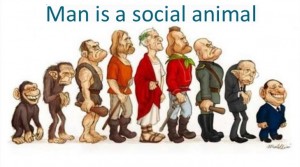 social animal